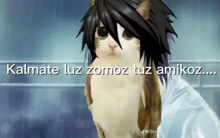 Creditos de la imaken de meowl a l0ve._.lawliet #deathnote #momazozkira #spidinicat #Meowl #meme 