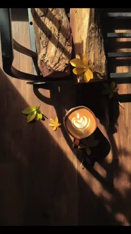 🍂☕️☀️