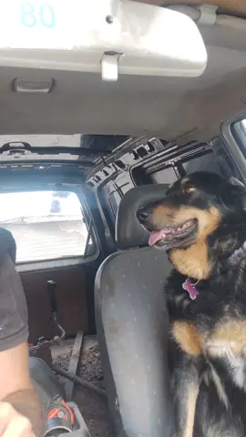 Και τεμπέλα και σπατάλη ❤️ #myfriend #bestfriend #biglove #lovedogs #μαυρη 