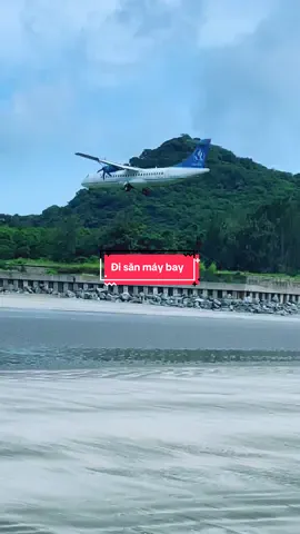 Tin tôi đi tôi bị hoài 😁 #dulichcondao  #condao  #checkincondao  #condaoisland  #sanmaybaycondao 