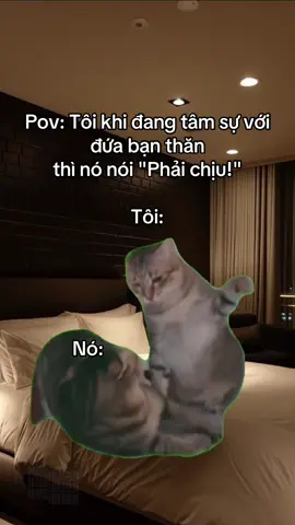 thì phải gì ạ ? #xuhuong #fyp #viral 