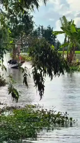 ngày xưa kia vì sao người đi bỏ a.