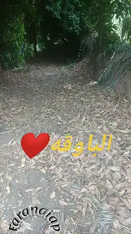 #نهرالنيل_الدامر_عطبره_شندي_بربر 