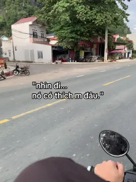 #nvsnag_🧸 #tamtrang #fyp #fbtxuhuong #ddnxuhuong 