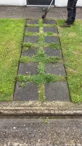 ضع متابعة فضلا وليس امرا❤️✨ #fyp #explore #foryou  #اكتب_شي_توجر_عليه #شاشة_سوداء 