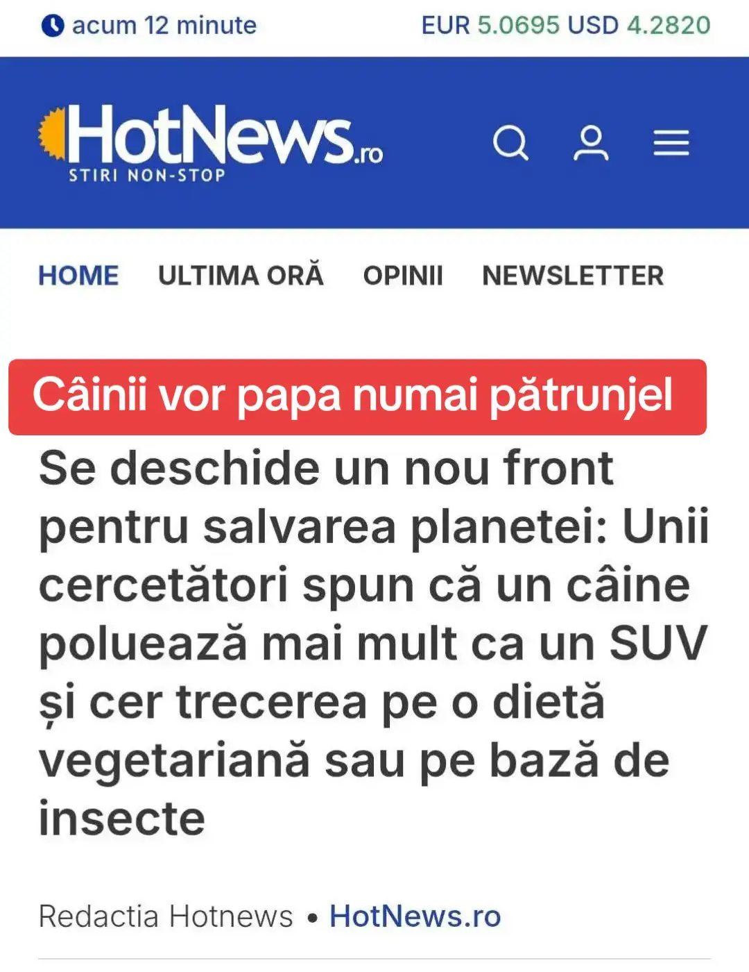Vor fi atenți și cu hrana câinilor comunitari.  #nom #welness🥰💦👩‍❤️‍👨⚜️😘💯 #romania 