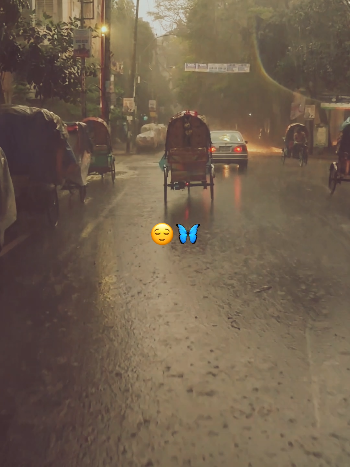 ফুল থেকে পাথরে পরিনত হওয়ার রাস্তাটা এতোটাও সহজ ছিলো না 😊❤️‍🩹 #Foryou #foryoupage #fyp #fypシ #fs_ferdaussunny 