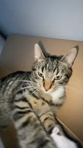 ALE MLODY MASZ TALENT