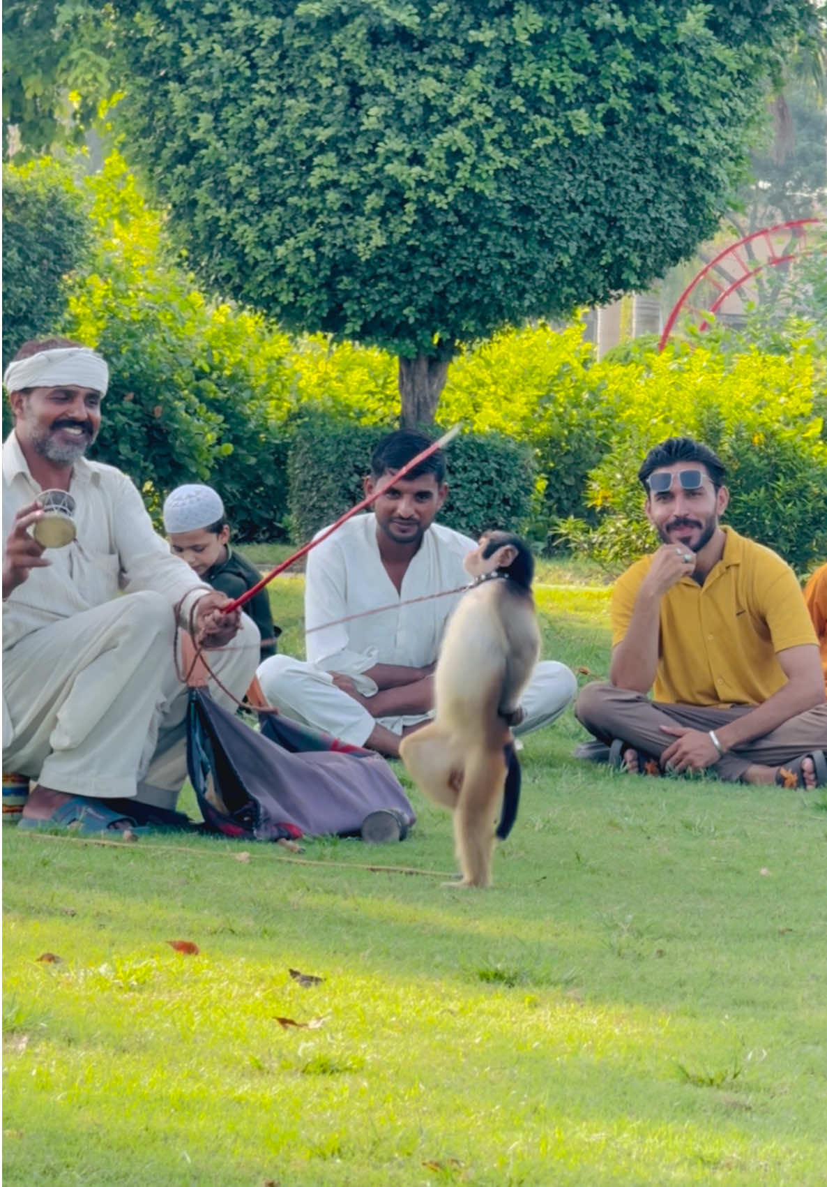Funny monkey 😝😂🐒#fun #lover #foryoupage #monkey #gulshaniqbalpark 