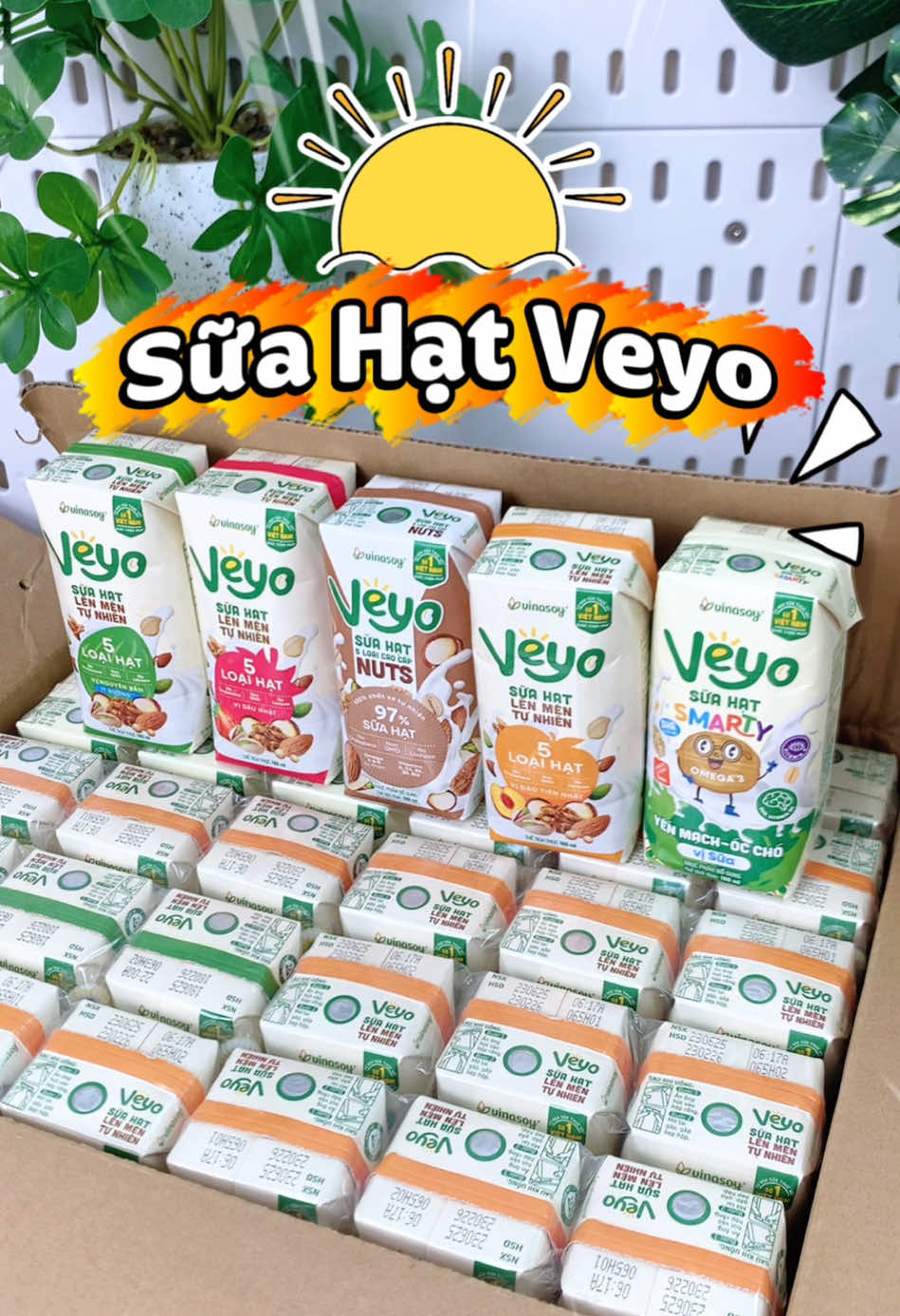 Sữa hạt lên men Veyo nhà Vinasoy với 5 loại hạt Macca - Hạt Óc Chó - Yến Mạch - Hạnh Nhân - Hạt dẻ cười thơm ngon dịu mát bạn đã thử chưa 🍑🍊🍓🌰🥛 #veyo #suahat #suahatdinhduong #suahatveyo #sale1010 