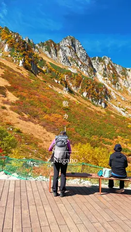 ロープウェイを降りたらすぐに見れる日本一の紅葉🍁✨ 歩かずにこの景色が見れるって最高すぎません！？？ 📍千畳敷カール　長野県 #千畳敷カール  #長野観光  #紅葉登山  #日本の絶景  #🍁 