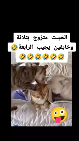 #نكت_مضحكه #ضحك😂 #تموتني_بضحك🤣🤣🤣🤣🤣 #الشعب_الصيني_ماله_حل😂😂 #ابوني_ياك_باطل_ولا_حنا_مانستاهلوش 