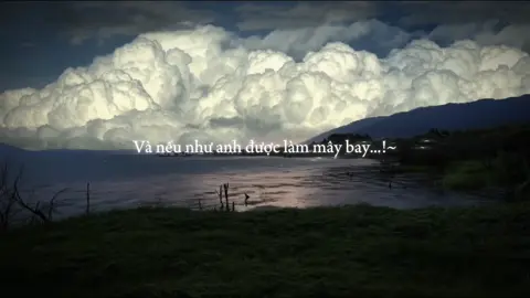 Nếu như anh được làm mây bay...!#fyp #lyrics #09th02_8 #tamtrang #thinhhanh 