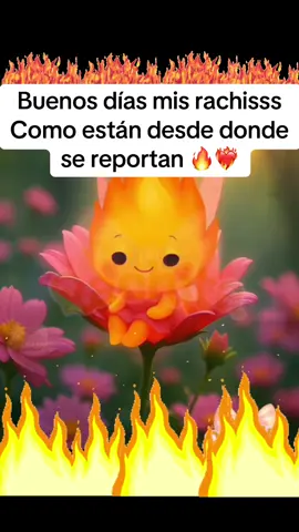 Buenos días mis rachas #racha #rachi #activalaracha🔥🔥🔥🔥🔥🔥🔥🥷 #tiktokgostay #viraltiktok 