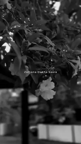 Safar me hai yeh bajara 😌💛 #zamanadekhasara #foryoupage 