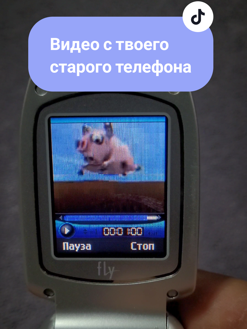 Хрюшки.  #gadgetmemories #mobilelegends #gsm #retro #ностальгия #nostalgic #3gp #mobilephone #retrotech #retrogadget #retrophone #retromobile #oldphone #oldmobile 