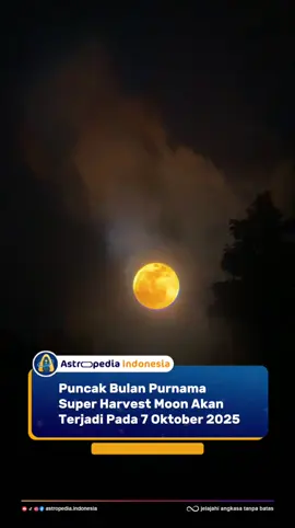 Pada malam 7 Oktober 2025, langit malam akan menghadirkan salah satu pemandangan paling menakjubkan tahun ini: Bulan Purnama yang juga merupakan Supermoon, dikenal dengan sebutan Harvest Moon. Disebut “Harvest Moon” karena purnama ini muncul paling dekat dengan ekuinoks musim gugur, momen yang menandai peralihan dari musim panas ke musim dingin di belahan Bumi utara. Dulu, sinar terang dari purnama ini membantu para petani memanen hasil mereka di malam hari itulah asal nama “Harvest Moon”  Menariknya, purnama kali ini juga termasuk Supermoon, yaitu saat Bulan berada di titik terdekatnya dengan Bumi (perigee). Akibatnya, Bulan akan tampak lebih besar dan lebih terang hingga 14% dibandingkan purnama biasa. Sinar keperakannya akan mendominasi langit, menciptakan suasana malam yang begitu indah dan mistis. Tak hanya itu, di langit yang sama kamu juga bisa melihat planet Saturnus yang akan tampak seperti bintang kuning pucat di dekat Bulan. Kombinasi keduanya menciptakan pemandangan langit yang sulit dilewatkan  sempurna untuk diamati dengan mata telanjang atau difoto dengan lensa panjang 🔭 Menurut NASA, puncak purnama akan terjadi sekitar pukul 10:47 WIB, namun cahaya Bulan akan tampak bulat sempurna sepanjang malam. Dan jika kamu beruntung, kamu mungkin juga bisa menyaksikan hujan meteor Draconid yang menghiasi langit di waktu yang hampir bersamaan. Jadi, pastikan kamu meluangkan waktu untuk melihat ke langit malam pada 7 Oktober nanti. Cari tempat yang jauh dari polusi cahaya, dan nikmati momen langka ketika Bulan, planet, dan bintang-bintang bersinar seirama di bawah langit yang sama.