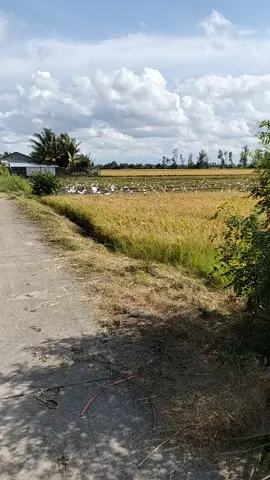 có ae nào hỗ trợ tôi không kkk 