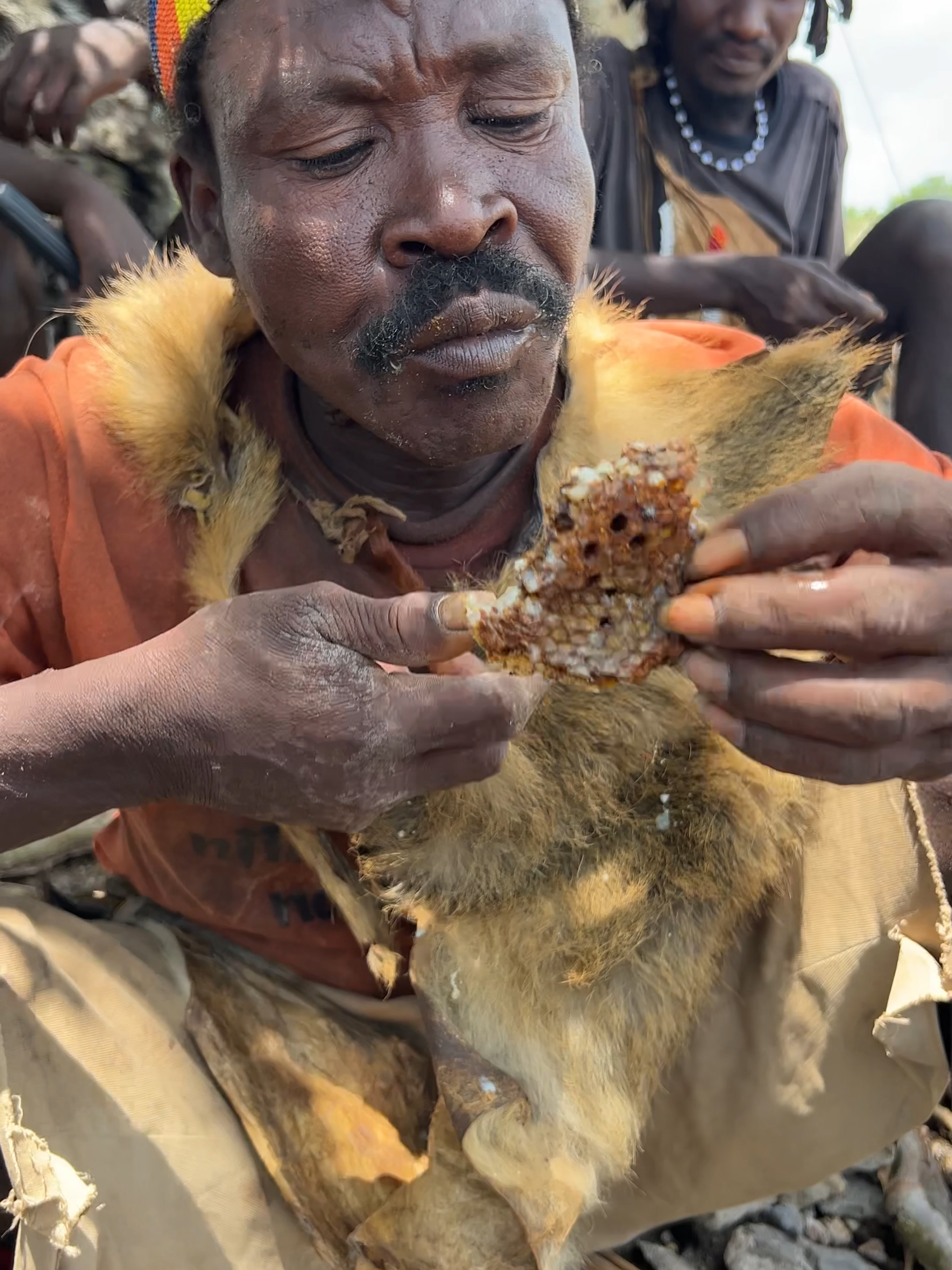 First Bite of Jungle Honey #africa #hadzabe #tribe