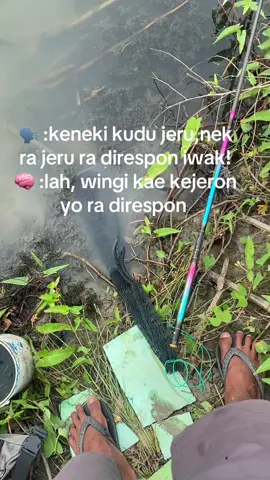 #mancing #nila #fyppppppppppppppppppppppp 