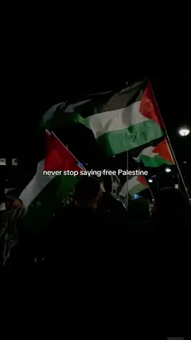 From the river to the sea, Palestine will be free 🇵🇸 #freepalestine #palestine #fyp #4u #gaza 