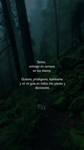 Entrego todo en tus manos, Dios.#frasesbelicos☘️📿🧿🥷fypシ゚viral🖤tikto #paratiiiiiiiiiiiiiiiiiiiiiiiiiiiiiii #motivation #Dios #reflexaododia🙏👏💫 