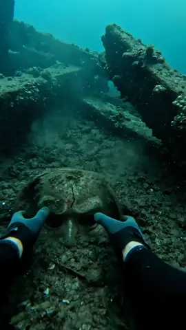 Found this mask under water #mystry #treasurefinds #ocean 