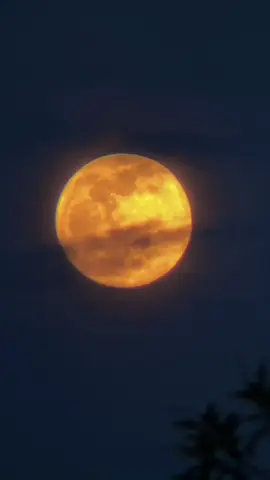 Bulan 99%🌕🔭 #supermoon #moon #bulan #astrophotography #astrophile  