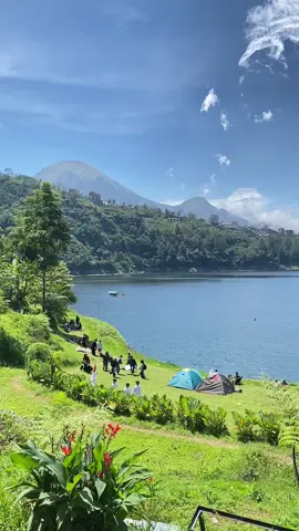 tempatnya bersih enak buat camp, tp saran aja min kalo bisa motor itu cukup di parkiran aja ngga sampai lahan campnya 🙏🏻 #telagamenjer #wonosobo #hiling @PANDANGAN PERTAMA(tlagamenjer) 