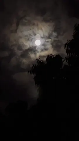 مونکي خبر ناهي آئون شين جي تلاش ڪري رهيو آهيان يا اُنهن کان پويان ڀڄي رهيو آهيان  ايترو به خيال ناهي رهيو ته ڇا پيو ٿيندو ونڃان  خبر ناهي ڇو پر آئون هاڻ هر شيءَ کان بيزار آهيان  مُونکي لڳو ته آئون توکي بُهلائي ٿو سگهان مگر اهيا بُهل هُئي منهنجي هاڻي زندگي پهرين کان الاهي الڳ هُوندي ڇو ته هاڻ اُن ۾ تون نه هوندي  هاڻ آئون جڏهن چاهيان توکي ڏسي نٿو سگهان جڏهن چاهيان تنهنجي آواز ٻُڌي نٿو سگهان  بس توکي سوچي سگهان ٿو توکي محسوس ڪري سگهان ٿو  مان چاهي به هاڻ توکي حاصل نٿو ڪري سگهان ڇو ته مُون هميشه تنهنجي خوشي جي دُعا ڪئي هُئي ءٍ هاڻ تنهنجي خوشي منهنجي جُدا هُجڻ ۾ آهي  ءٍ آئون تنهنجي خوشي خراب نٿو ڪري سگهان  پاڻ کي توکان ايترو پري رکيو آ جو ڪڏهن تنهنجي نظر به نه پوي ڇو ته ٻڌو آ هاڻ تُون مونسان نفرت ڪندو آهين  ءٍ اهيو جڏهن مون ٻڌو هو  منهنجي دنيا الاهي  وقت لاء رُڪجي وئي هُئي ءٍ پوئي نه چاهيندي به مون مُسڪرائي ڏنو  سوچڻ لڳس ته واقعي محبت به نفرت ۾ بدلجندي آهي  شايد اِن ۾ به منهنجو هي ڪو قصور هُوندو شايد منهجي هي ڪا غلطي هـوندي  آئون توکي ڪجھ نٿو چوان هي منهجو نصيب ۾ هو شايد  جيڪو مُونسان ٿي رهيو آهي 🫠💔.          علي#foryoupage #sindhisongs #viral #sufi #fyyyppp 