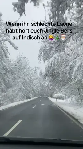 Ich Liebs 🤣🤣🥳 #jinglebells #christmas #justforfun #fyp #tiktok 