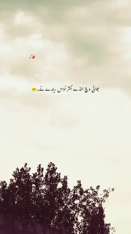 Agree?❤️‍🩹🫶🏻 #foryou #foryourpages #poetry #aesthatic #poetrystatus 