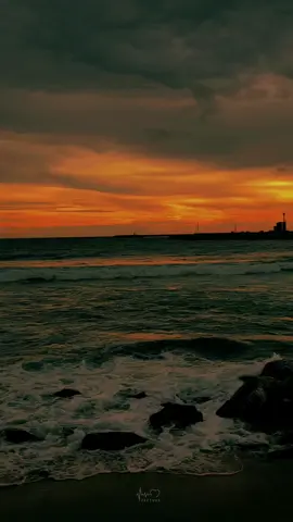 මට ආයේ ඕනා - නුඹ ගාව ඉන්නෝනා 🤍🥺 #foryoupage #sunset #beach #onemillionaudition  #whatsappstatus   @𝗔𝗠𝗔 ☁️  @Sunset gallery 