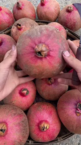 Cỡ đó đó #xuhuong #hoaquangon #xh #fyp #trungquoc 