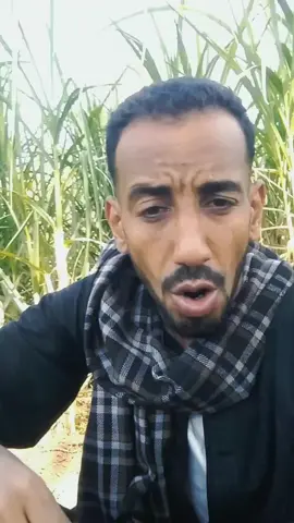 #حماده_الهواري🐎🔥 #حماده_الهواري🗡️ 