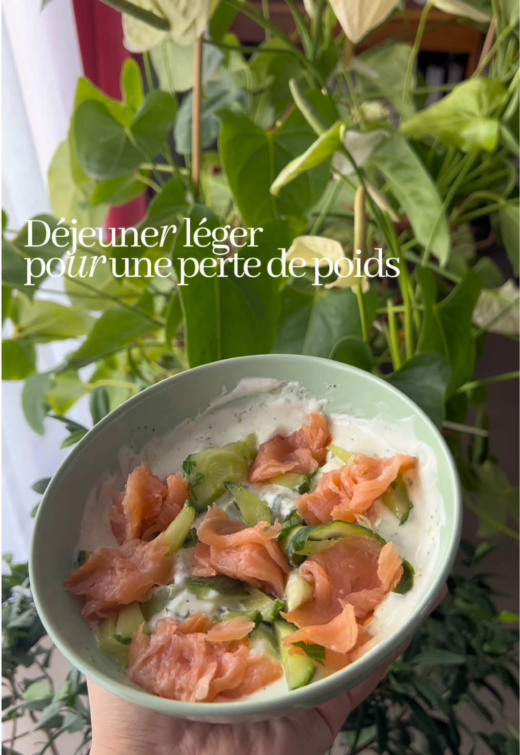 Tagliatelles concombre saumon ✨  #pertedepoids #pertedepoidssaine #fyp #recettehealthy #weightlosssupport 