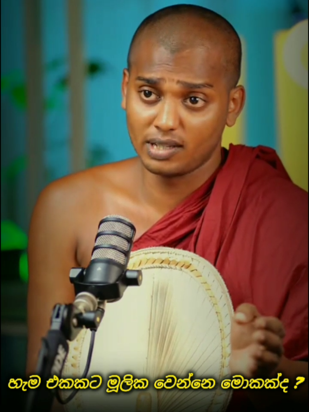 සිත තමයි හැමදේටම මූලික හේතුව!🙏☸️ #බුදු_සරණයි_කියාගෙන_යන්න_වරදින්නෑ_කවදාවත් #kathnoruwe_siridhamma_himi #buddha #තෙරුවන්_සරණයි #බුදු 