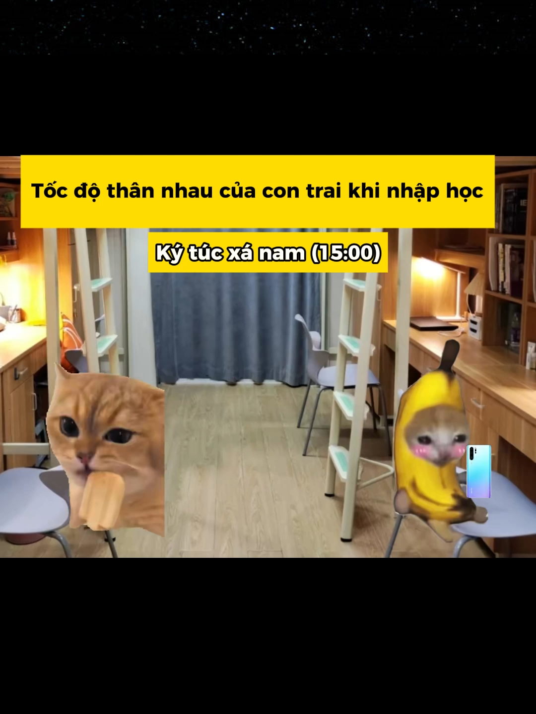 #funny #memes #haihuoc #catmeme #cat
