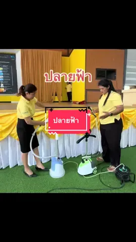 ปลายฟ้า#รองแอนนา #เพลงเพราะ #ปลายฟ้า #ขอบคุณทุกกําลังใจ❤️ขอบคุณทุกคอมเม้น🙏 