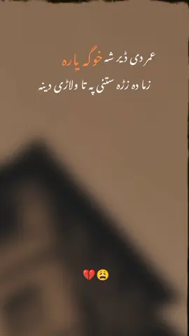 عمر دی ڈیر شہ خوگہ یارہ  🤲 🥺  #poetrylover6205  #foryou  #viral  #trending  #10k 