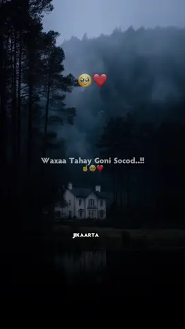 Repost taabo sxb👏🥰 #abwaan #hadraawi #fristvideo #lyricsedit #viewschallenge 