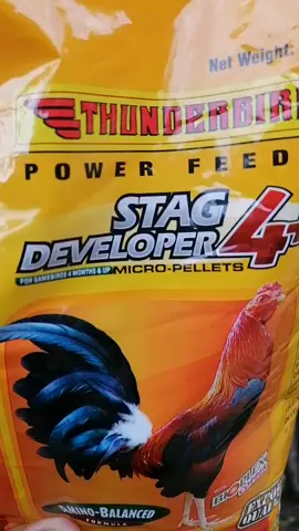 THUNDERBIRD POWER FEEDS STAG DEVELOPER 4+ #stagdeveloper #feeds #fyppppppppppppppppppppppp 