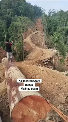 hutan Kalimantan.... #seluruhdunia #viraltiktok  #beranda #semuaorang  #fypdong #fypシ゚ #fyp  #fyf .........,...... #fyppppppppppppppppppppppp 