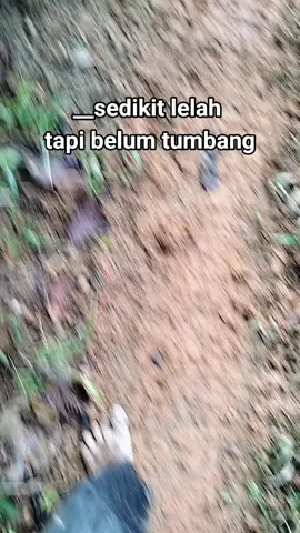 #tambangemas #fyp #foryoupage 