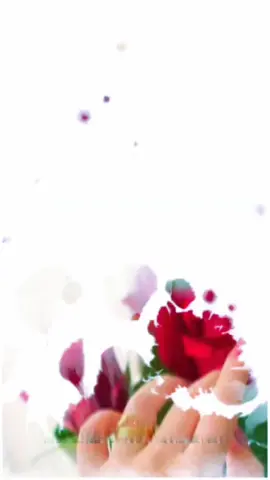 #foryou #foryoupage #tiktok #viralvideo #