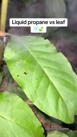 Liquid protein vs leaf #asmr #satisfying #Science #experiment #FYP 