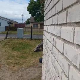 in reverse dorta🤣🤣🤣@Chadlyn$tøner🇲🇱 @lover boy❤️😘 @Milano @Jaden the dawg 📍🔥 #tiktokcomedy#comedia#colouredcomedy#capetown 