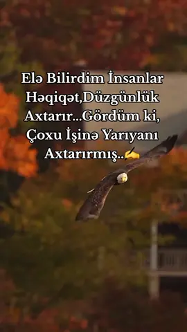 ....!#görüb_keçmə_bəyən❤ #fypviralシ #viraltiktok #Love #keşfetteyizzz 
