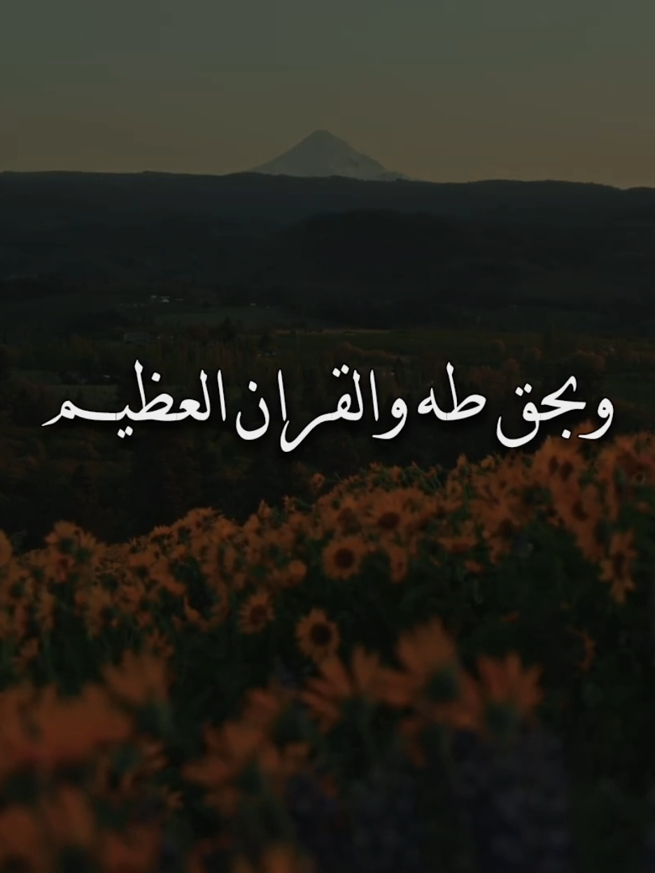 دعاء لمولاتنا فاطمة الزهراء، لقضاء الحوائج ولكل شيء يصعب عليك ... #يارب_دعوتك_فأستجب_لي_دعائي #ادعية_اسلامية_تريح_القلب #ادعية #يارب_فوضت_امري_اليك #اللهم_لك_الحمد_ولك_الشكر 