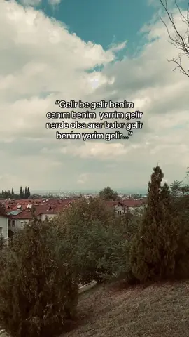 @lmehmet.birge